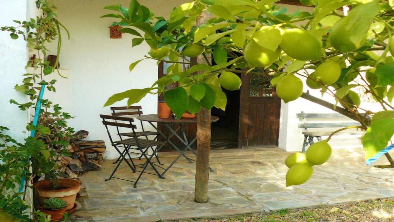Casa Da Tia Luisa Βίλα Montoito Εξωτερικό φωτογραφία