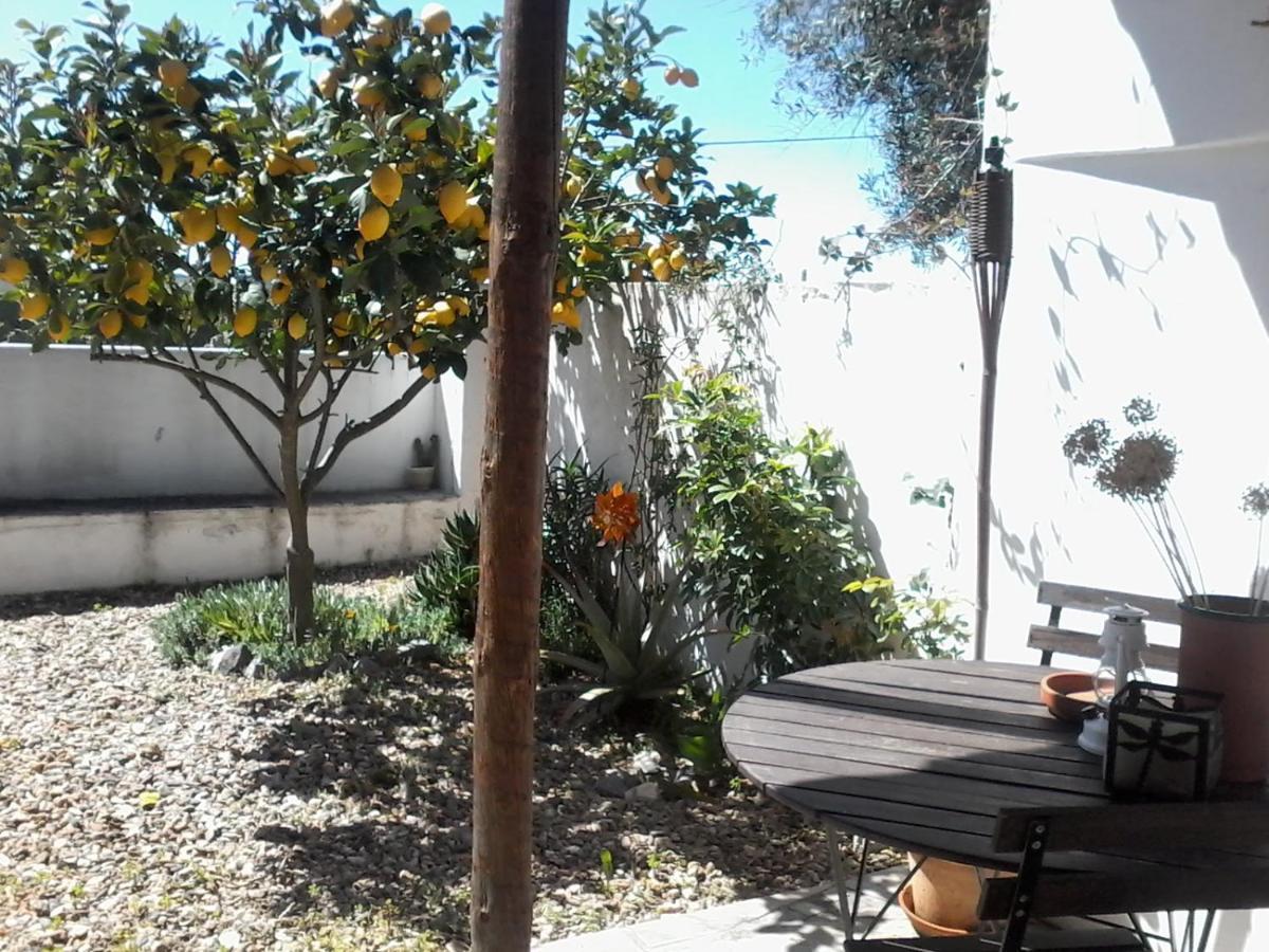 Casa Da Tia Luisa Βίλα Montoito Εξωτερικό φωτογραφία