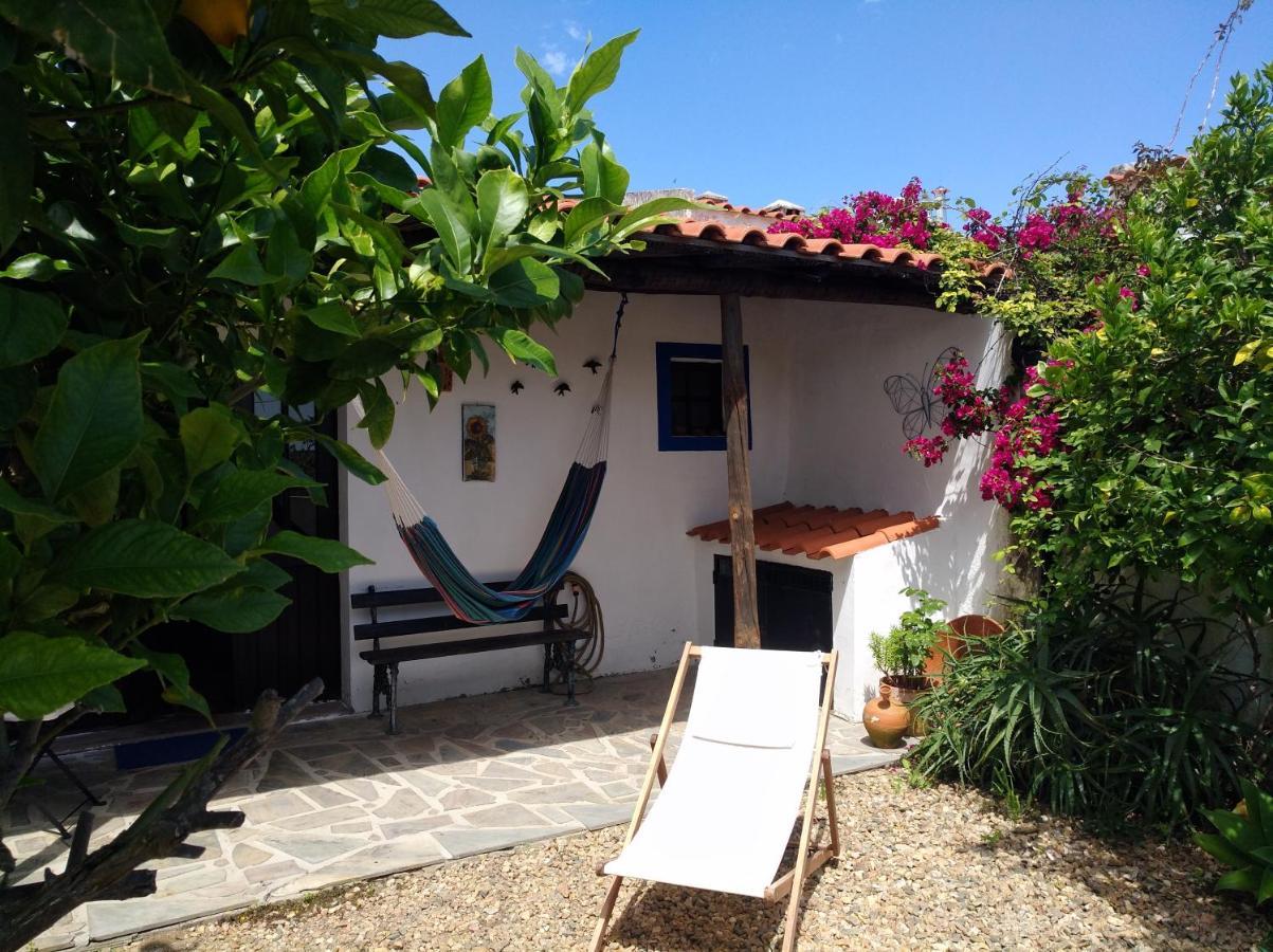 Casa Da Tia Luisa Βίλα Montoito Εξωτερικό φωτογραφία