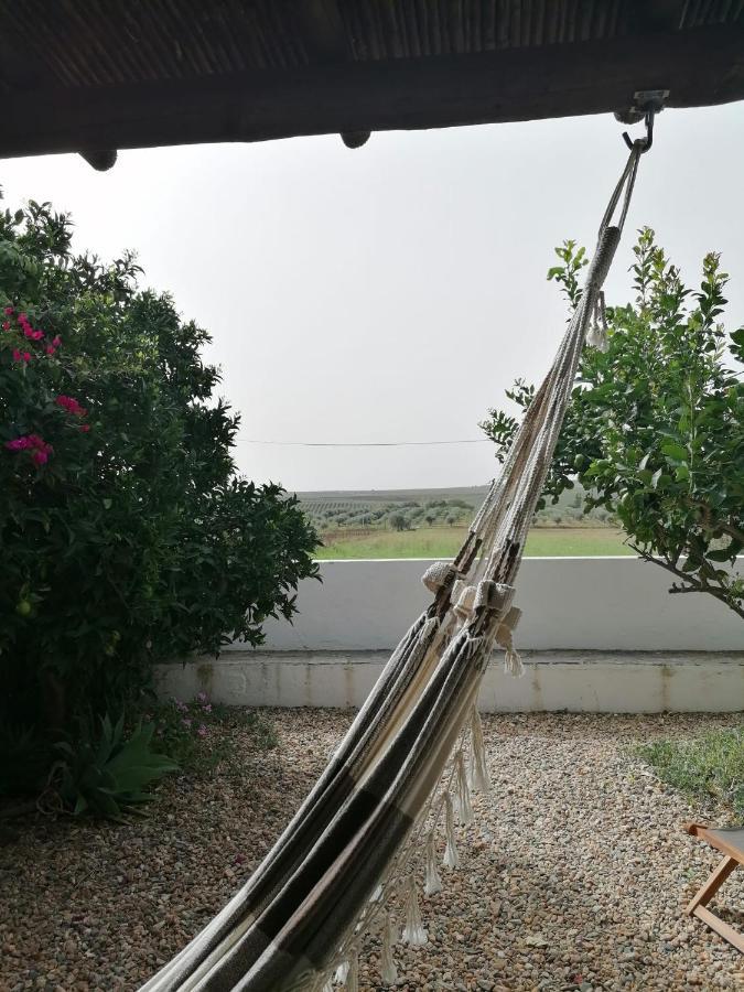 Casa Da Tia Luisa Βίλα Montoito Εξωτερικό φωτογραφία